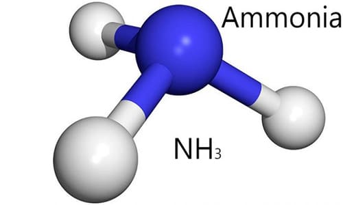 Pengertian Amonia
