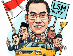 LSM politik